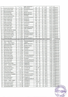 IT Trainee 2.pdf